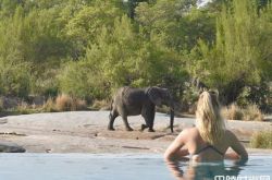 超模卡莉克劳斯南非度蜜月 丈夫Joshua全程陪同