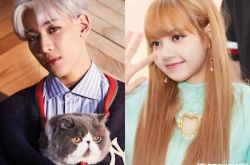 BLACKPINK成员Lisa遭种族歧视 BamBam也说话了