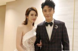 洪欣小11岁嫩夫爆偷吃经纪人 洪欣老公出轨痛心了