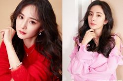 杨幂和经纪公司闹翻 北京工作室已全清空