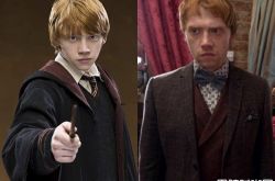 鲁伯特·格林特现状怎么样 知情人爆已经结婚