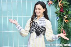 范玮琪爆哈佛假学历 出道被设定标签