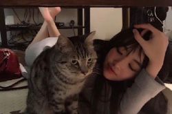 易虎臣妹妹是谁？易虎臣的“小公主” 