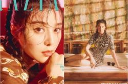 范冰冰韩国杂志写真封面 梳20年前金锁麻花辫