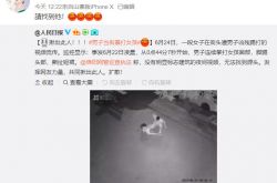 男子当街暴打女孩惹怒一众明星 