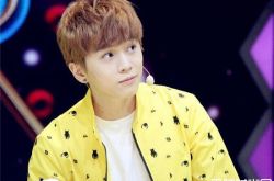 武艺家很有钱吗？宝藏男孩有没有女友