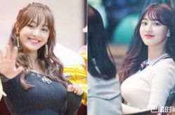 twice里谁的胸最大？爆减肥减出巨胸