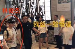 酒店结婚偶遇林俊杰 结局神展开网笑疯了