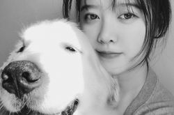 婚变后首晒照 具惠善哀叹寂寞狗狗相伴