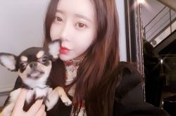 河娜京养前任 分手爆开车撞飞男友