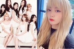 AOA草娥现状 为什么退出AOA去哪了