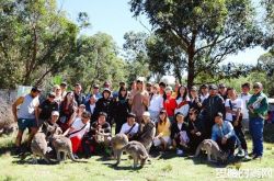 高云翔性侵案又反转 新证人出庭作证KTV目睹亲密行为