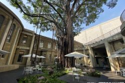 林志玲婚宴现场照片 南美馆中庭宴客