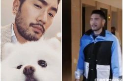 高以翔去世原因是什么？9度低温跑步猝死