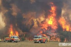 范玮琪发澳洲祈祷文 网友怼捐钱和物资才有实质帮助