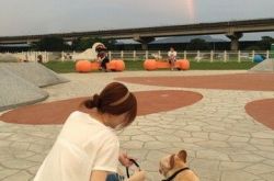 王心凌13岁爱犬布鲁托病逝心碎送别 曾经拥有你是最幸福的事