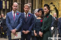 威廉王子首发声跟哈利断绝关系 梅根凯特王妃半年0对话