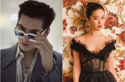 限籍令是什么？吴亦凡刘亦菲居然不是中国籍