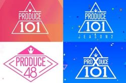 安俊英坦承因收视压力操控《PD》系列节目投票结果