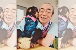 志村健染疫入院10天病逝 70岁曾苦追美女主播