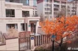 郑爽新入手4层楼豪宅 豪华客厅私人沙滩全曝光