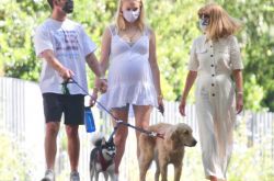 苏菲特纳怀孕7个月了 近照曝光浑圆孕肚现形