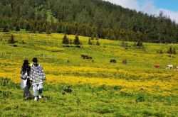 郭碧婷结婚8月真的怀孕了