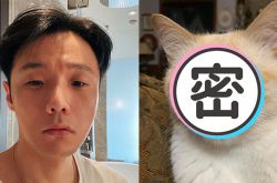 李荣浩撞脸单眼皮橘猫