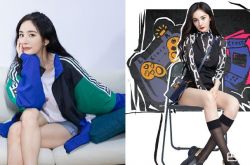 杨幂惊人食量曝光 吃的比她少还比她胖