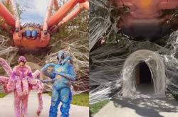 金卡戴珊将豪宅打造成盘丝洞庆万圣节 全家化身蜘蛛精