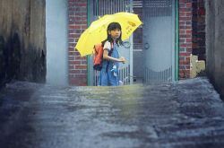 赵斗顺出狱想到山上卖咖啡 韩网友打爆电话投诉