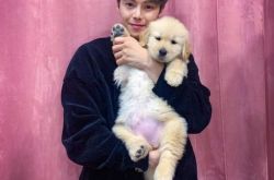 告朴殷硕毁谤的学长是前科犯 性侵15岁女多达180次