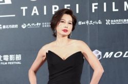 演员丁宁弟弟遭逮捕 黑社会身份曝光