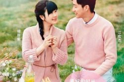 福原爱发声明爆切割江宏杰 死心离婚各说各话