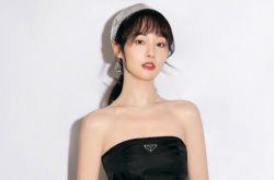 郑爽天价片酬曝光 一台电视剧片酬过亿吓人