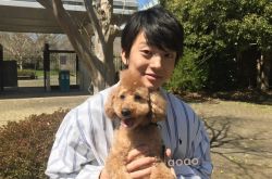 伊藤健太郎撞摩托车逃逸 消失5个月隐居现况曝光