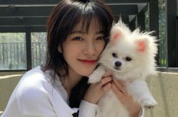 抖音水冰月不雅片流出 疯传932事件怒报案