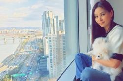 张东健高素荣住韩国最贵公寓 韩星豪宅曝光