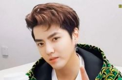 吴亦凡爆酒桌选妃 遭14代言切割解约