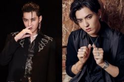 吴亦凡被逮捕几乎不能取保候审 刑拘发表17天变批捕