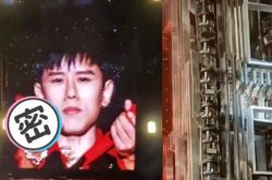 张杰演唱会出意外 高台重摔满手溅血严重吗