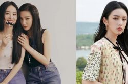 9位明星当老板盘点 杨幂是迪丽热巴的老板