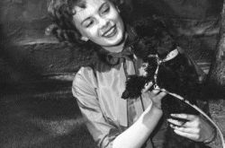 娜塔丽·伍德去世40年成悬案 妹妹爆姐夫是凶手