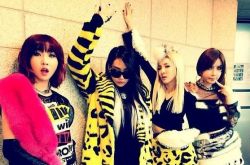 2NE1解散内幕曝光 CL隔了5年吐实情