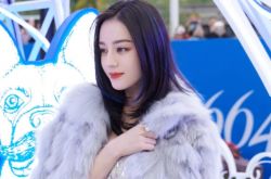 迪丽热巴粉丝为了拍个照也是疯了