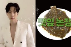 韩星躲不过的芝麻叶争论盘点