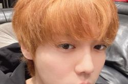 鹿晗醉酒摇晃全被拍 晒狗照不要天天跟着我