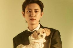 EXO灿烈恶意逼车比中指 SM火速澄清