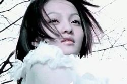 张韶涵梦里花歌词唯美 独特嗓音成就抒情歌曲 