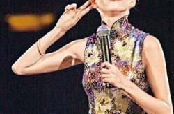 夕阳之歌唱出唏嘘人生 百变歌后梅艳芳纪念会开场 